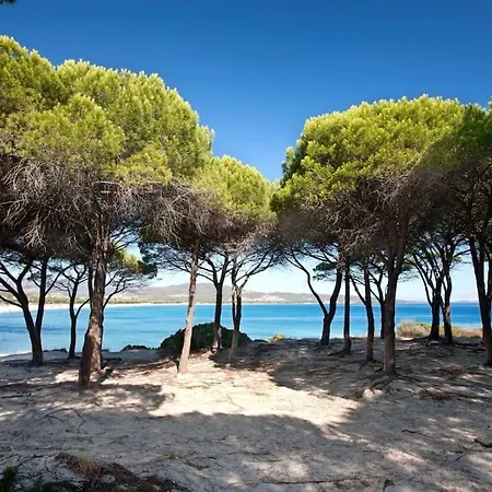 Quadrilocale Con Giardino Budoniaffitti *